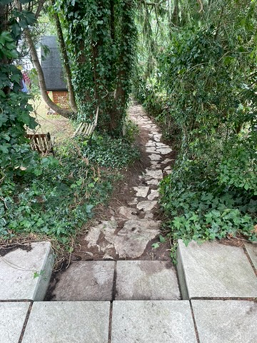 Stone path through the garden